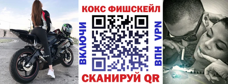 Cocaine FishScale  Купить закладки  Нижнекамск 