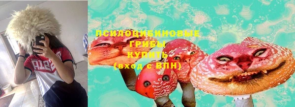 ECSTASY Медвежьегорск